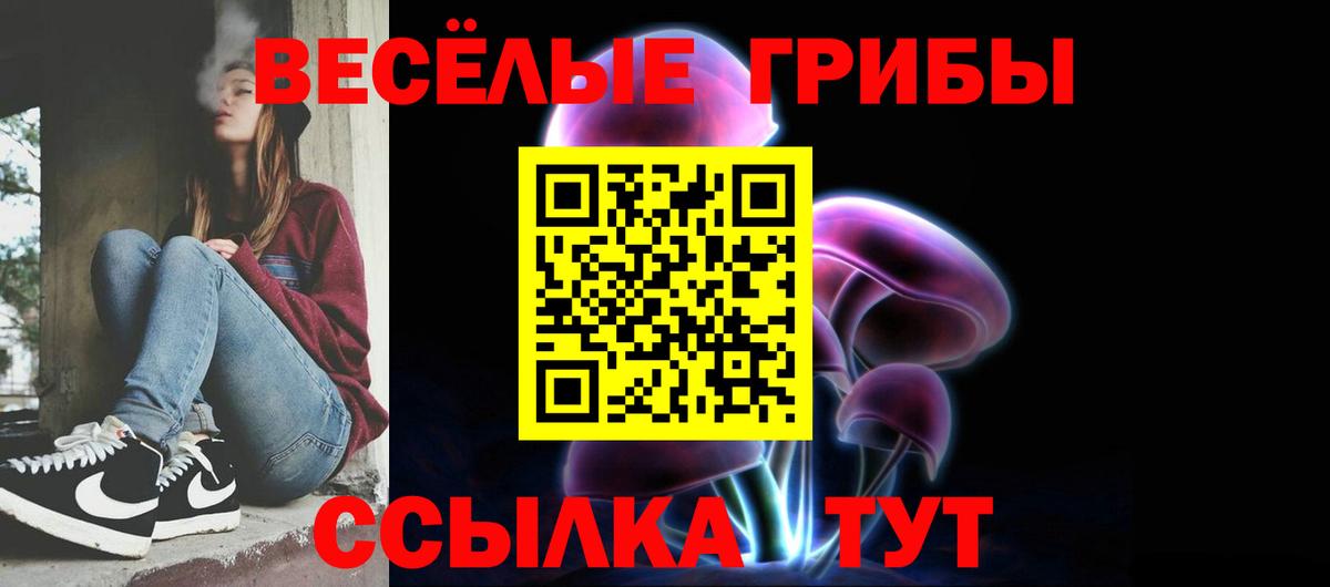 Дзержинск  Галлюциногенные грибы мухоморы  Вход с VPN  Псилоцибиновые грибы ЛСД 